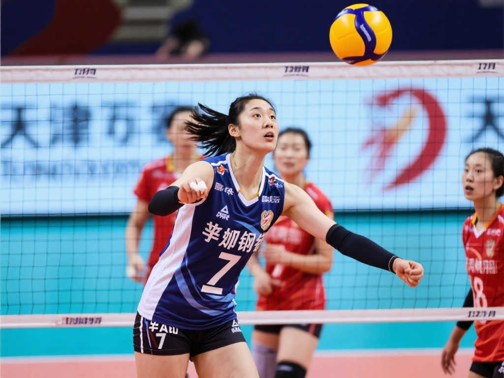 献都将被永